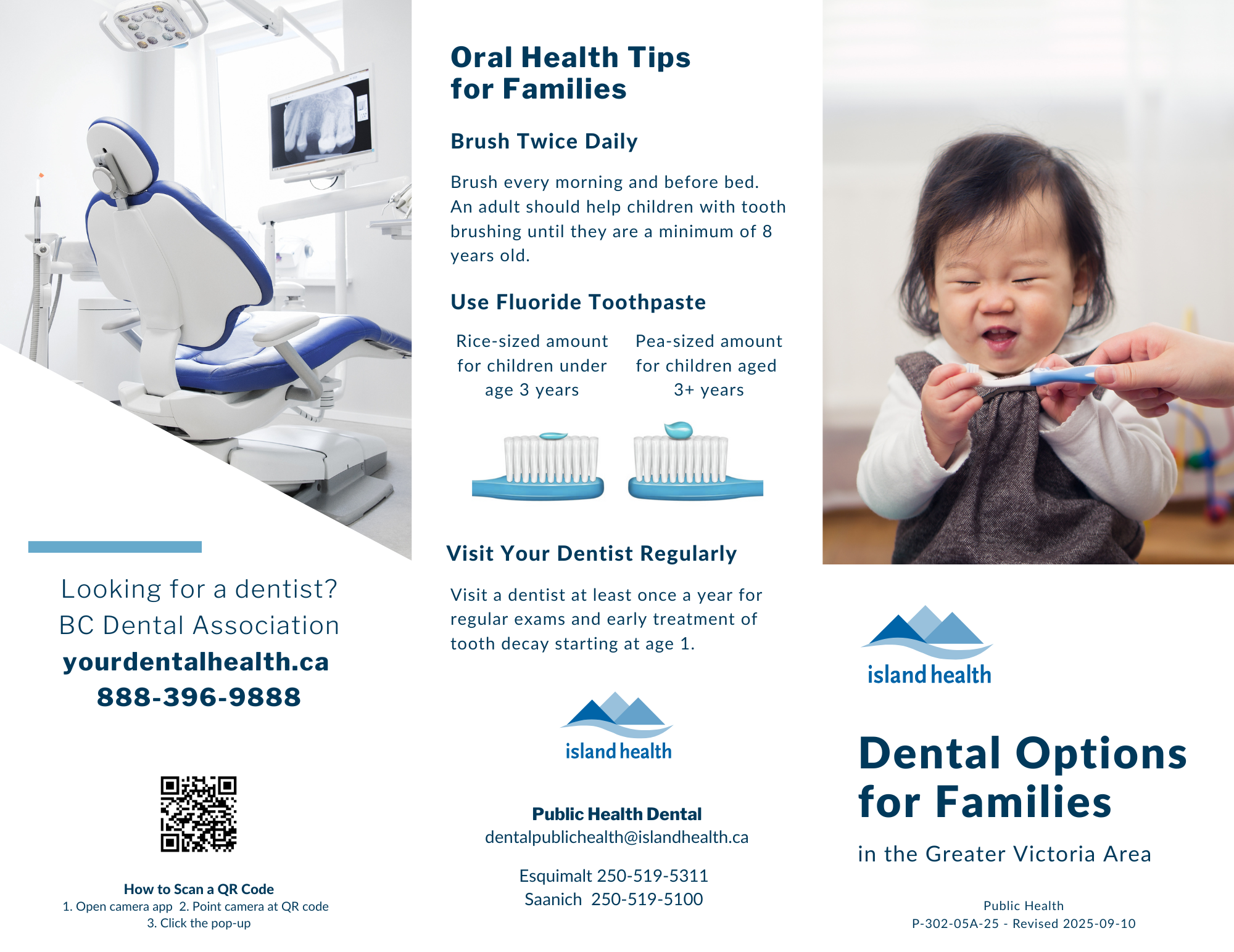 dental-options-south-island-brochure.png