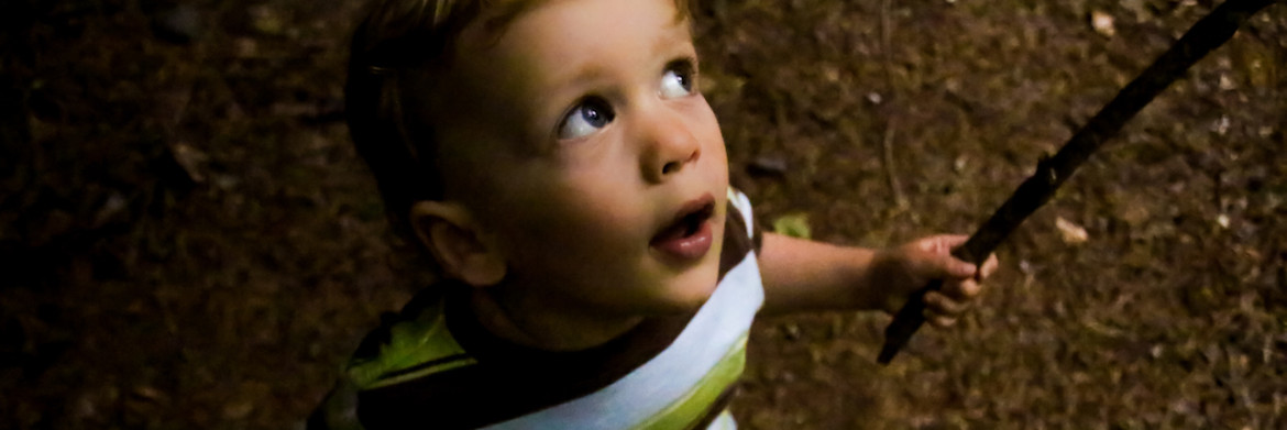 Fetal Alcohol Spectrum Disorders Island Health 