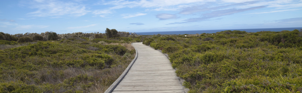 Health Services for Community Living