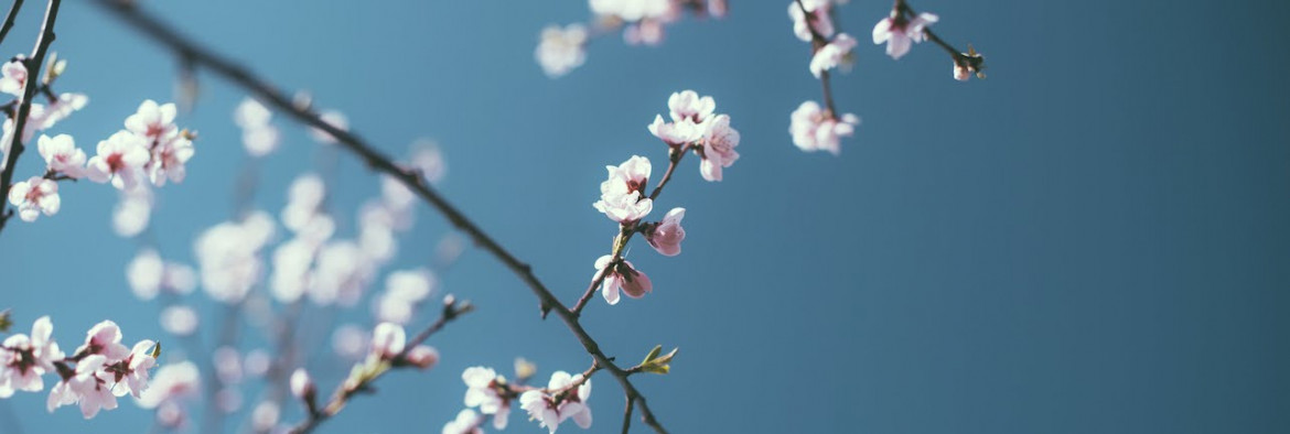 Sexually Transmitted and Blood Borne Infection Services Island Health 