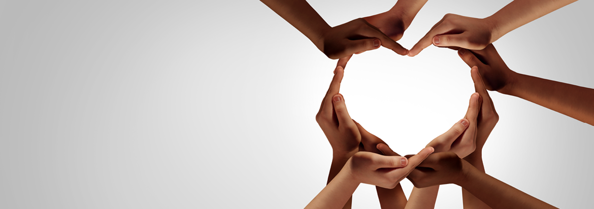 Acknowledging our Project Partners