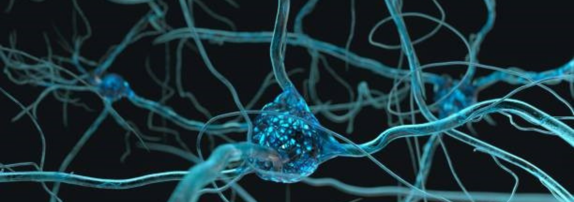 Clinical Neurophysiology 