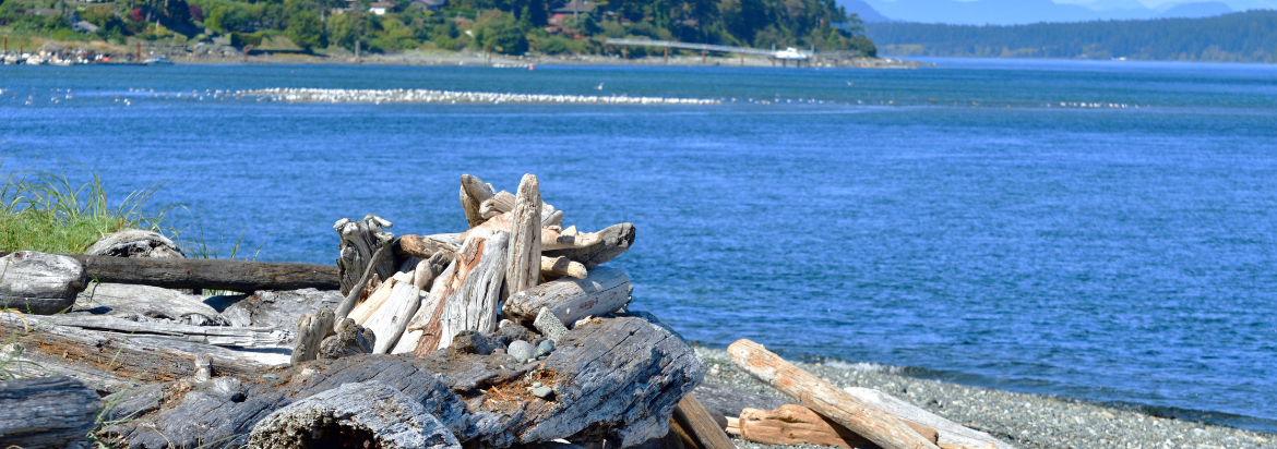 Comox Valley, Campbell River, North Island volunteering