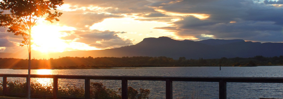 Cowichan Valley & Southern Gulf Islands volunteering