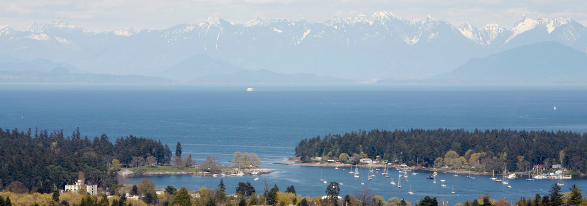 Nanaimo & Oceanside volunteer opportunities