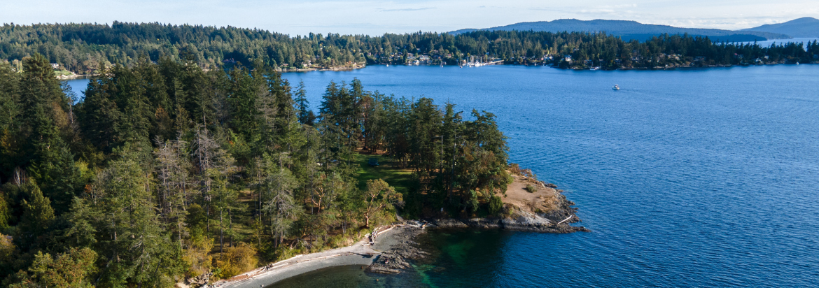 Saanich Peninsula volunteer opportunities