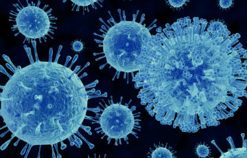 picture of virus