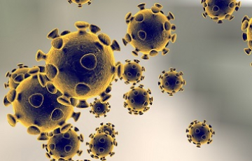 Novel Coronavirus - COVID-19