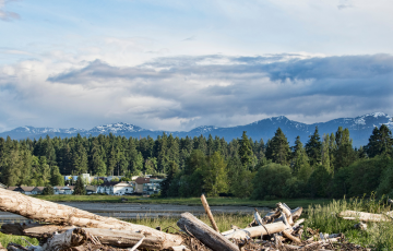 Courtenay landscape with shoreline 