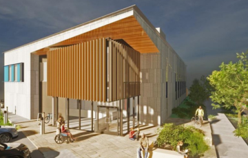 cowichan forest with mountain in background