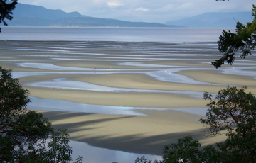 Intake Oceanside- Referrals to MHSU