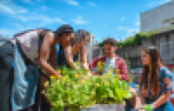 people working together in a community garden