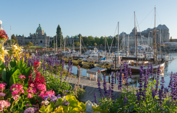 Victoria area and Sooke volunteer opportunities